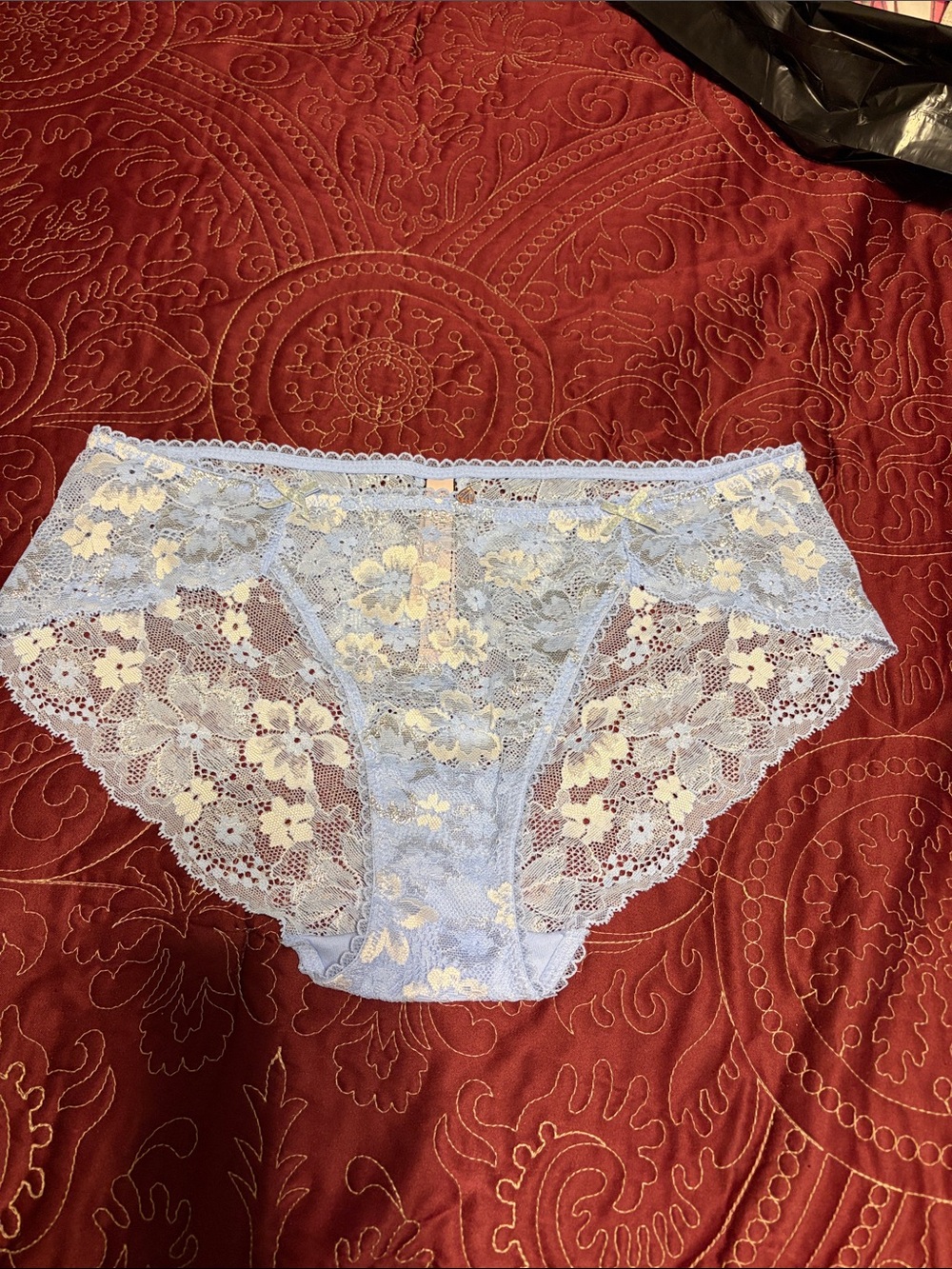 Delicate Lace hipster Panty - Light Blue with Cream Floral Accents
